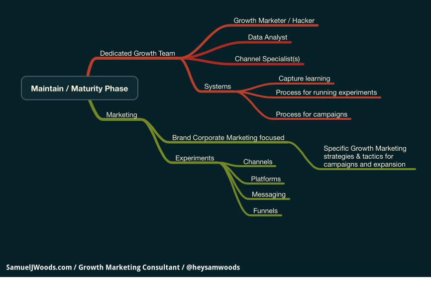 Maintain, Maturity Phase Growth Marketing and Team